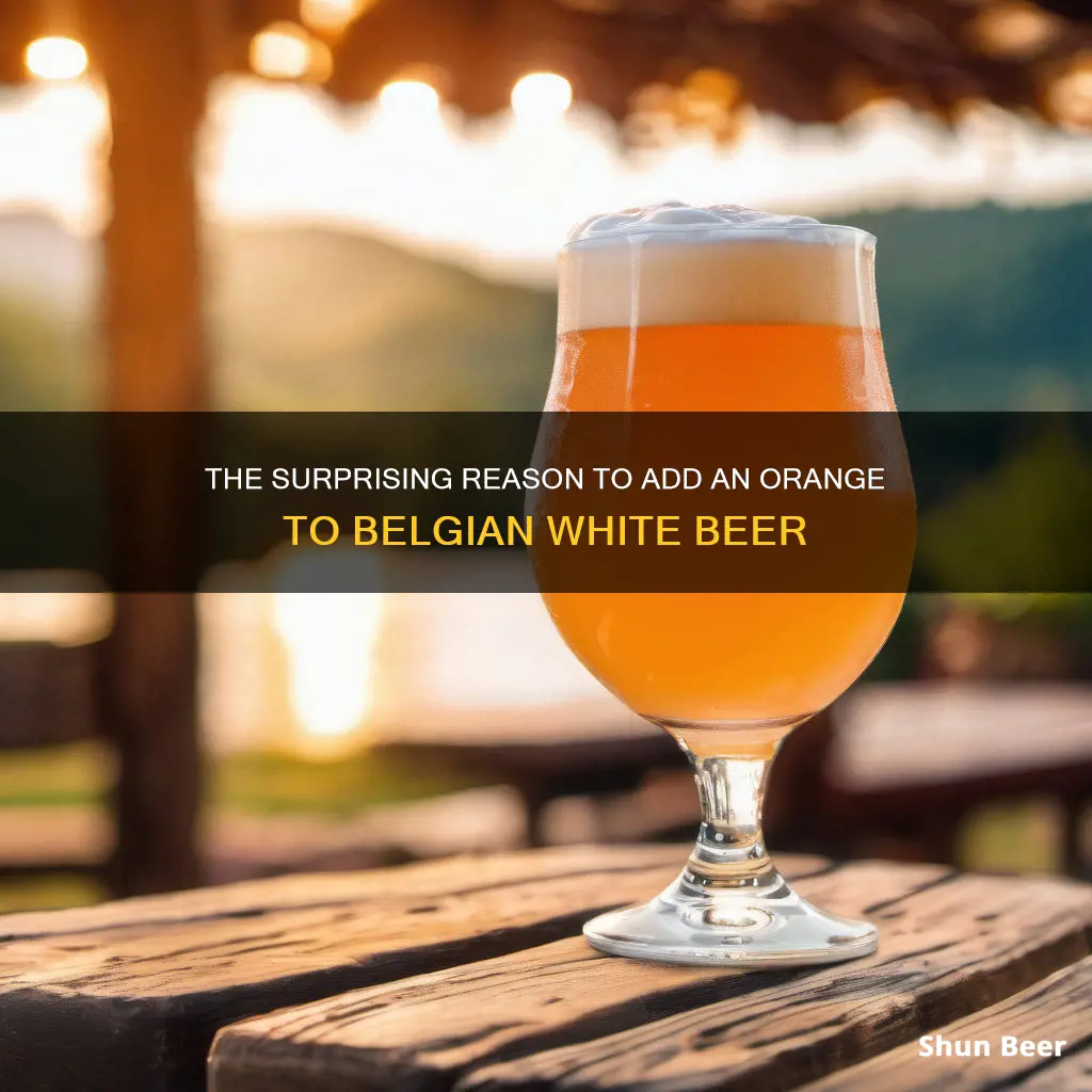 why put an orange in a belgian white beer