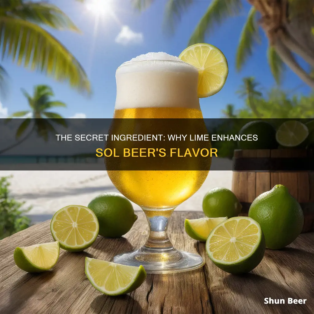 why put lime in sol beer