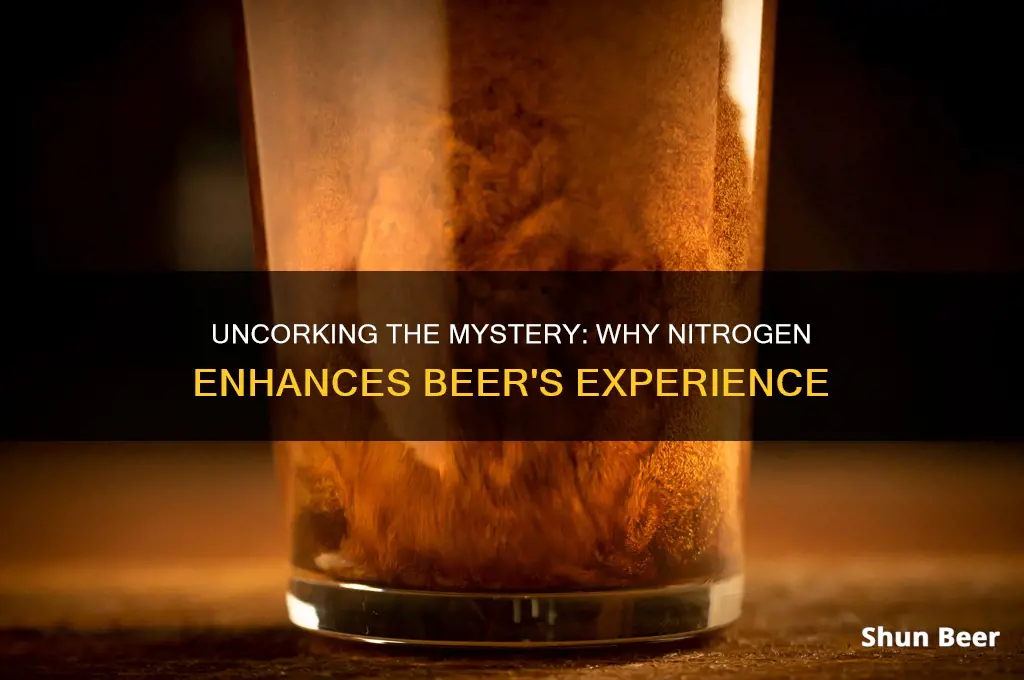 why put nitrogen in beer