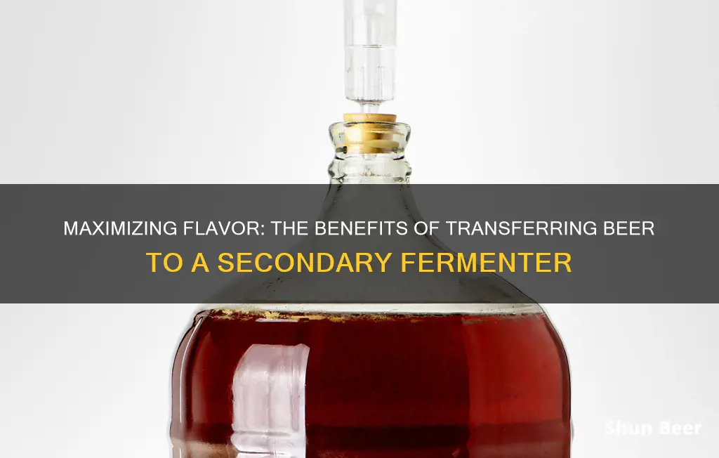 why transfer beer to a secondary fermenter