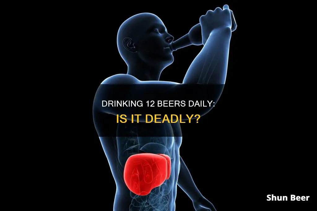 will drinking 12 beers a day kill you